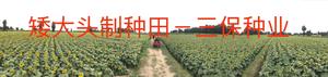 微信图片_2020121610402631.jpg