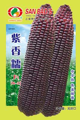 紫香糯