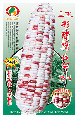 三保彩甜糯6号