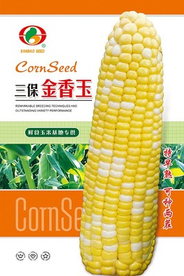 三保金香玉