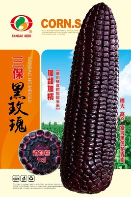 三保黑玫瑰