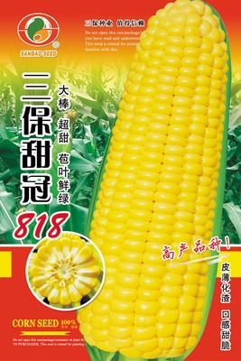 三保甜冠818