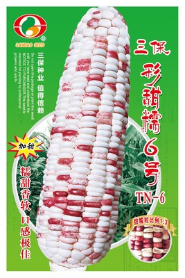三保彩甜糯6号