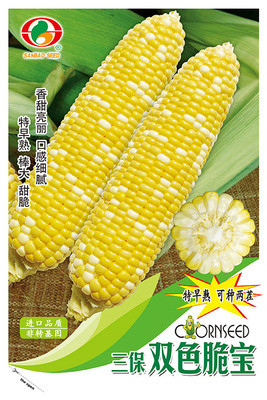 三保双色脆宝
