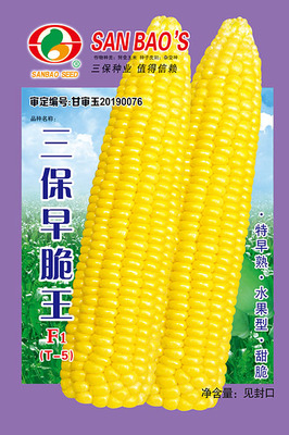 三保早脆王