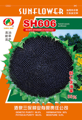 SH606油葵