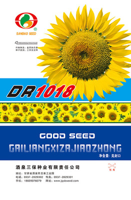 DR1018