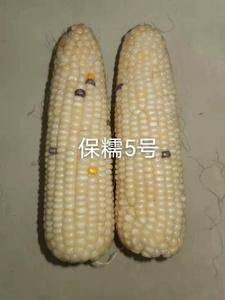 微信图片_202012161040255.jpg