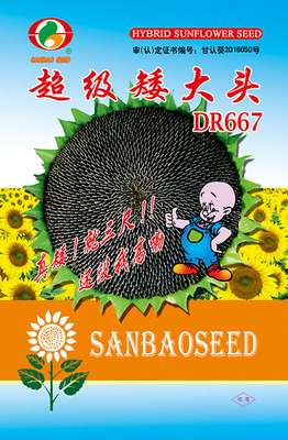 超级矮大头DR667
