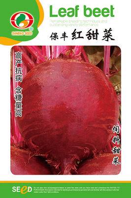 保丰红甜菜