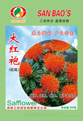 大红袍