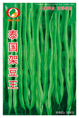 泰国架豆王