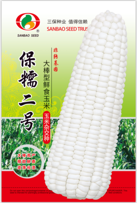 保糯2号