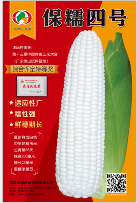 保糯四号