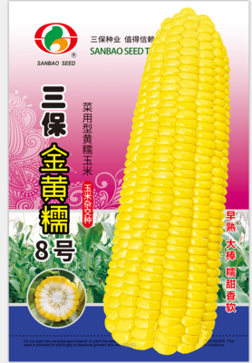 三保金黄糯8号