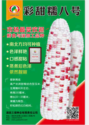彩甜糯八号