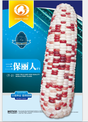 三保丽人