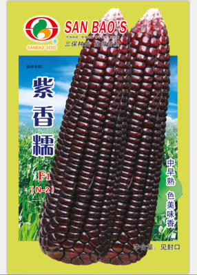 紫香糯