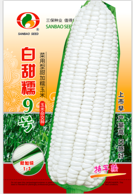 白甜糯9号