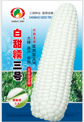 白甜糯三号