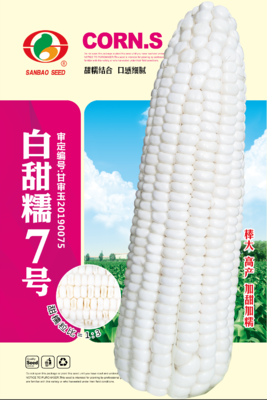 白甜糯7号