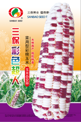 三保彩色超人