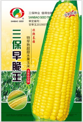 三保早脆王