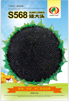 S568矮大头