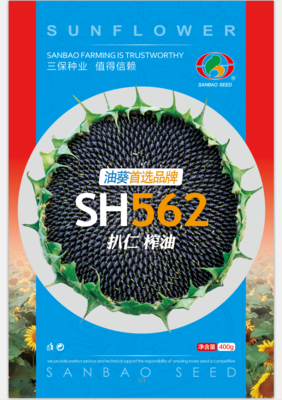 SH562