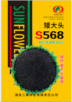 矮大头S568